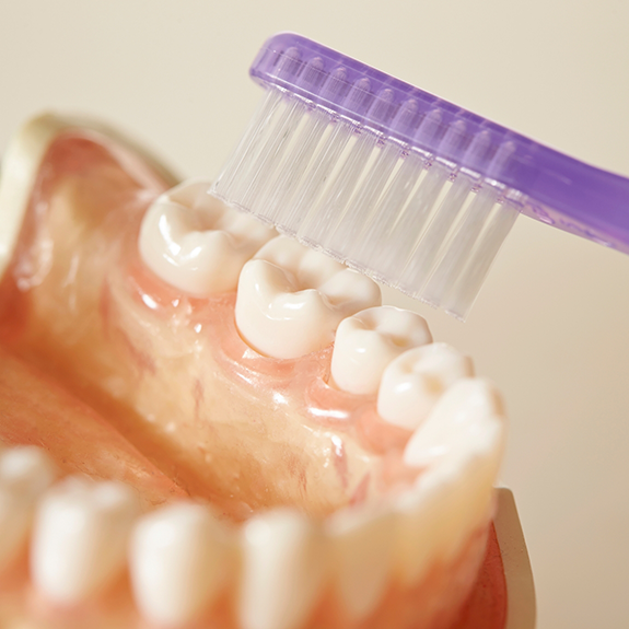 Toothbrush cleaning a denture